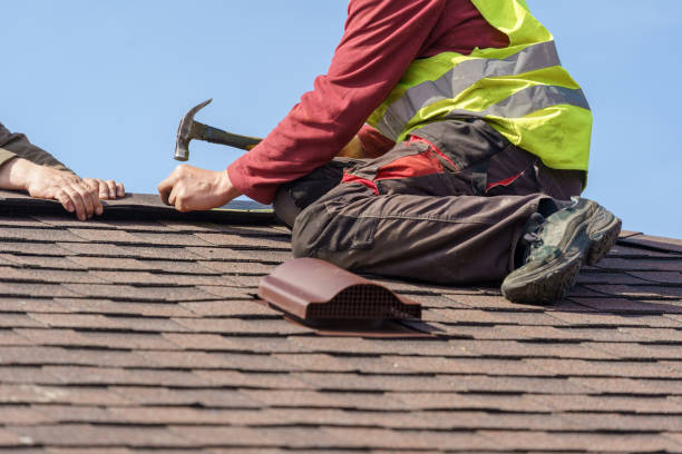 Best Local Roofing Companies  in Washburn, ND