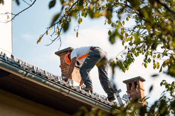 Best Commercial Roofing Services  in Washburn, ND