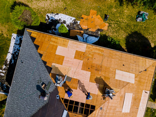 Best Roof Gutter Cleaning  in Washburn, ND