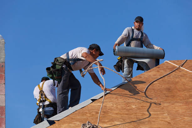 Best Roof Waterproofing Services  in Washburn, ND