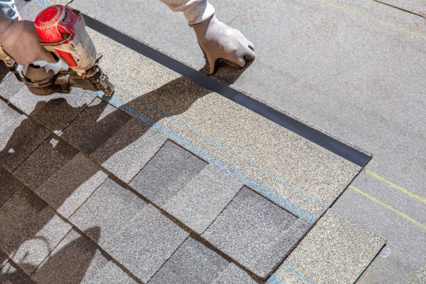 Best Roof Repair Services  in Washburn, ND